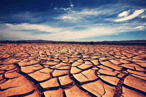 Dry Land In Desert Stock Image Everypixel
