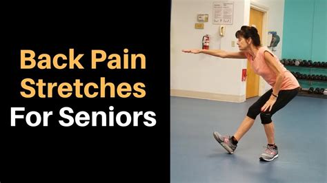 Back Pain Stretches For Seniors Youtube