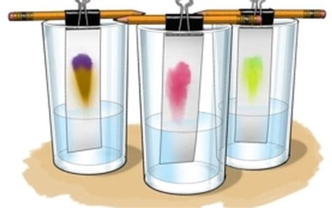 Chromatography Be A Color Detective Scientific American