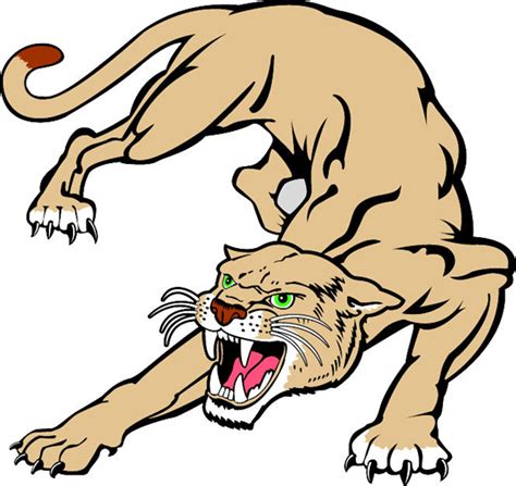Cougar Cartoon Images Free Download On Clipartmag