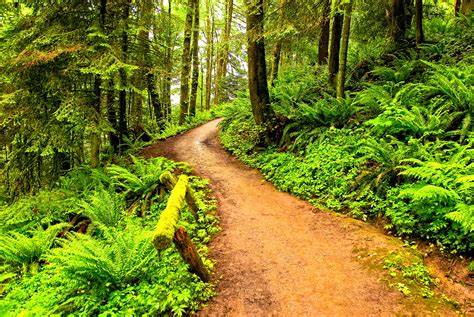 Top 10 Parks In Portland Oregon Lonely Planet