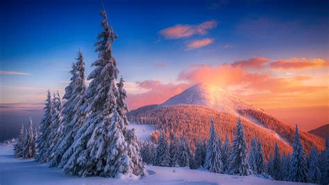 Snow Winter Mountains Sunset Cold Landscape Forest Frost Ice