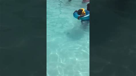 She In The Pool Youtube