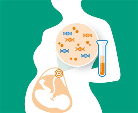 Non Invasive Prenatal Testing Nipt Kathmandu Center For Genomics