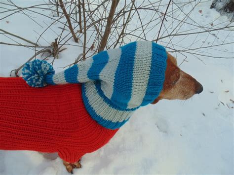Christmas Winter Hat Elf For Dog With Pompon Etsy