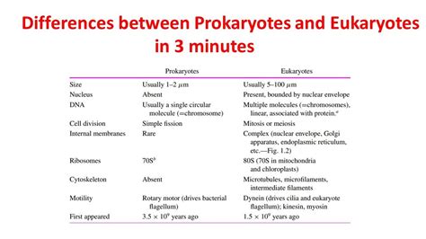 Differences Between Prokaryotes And Eukaryotes Prokaryotes Vs