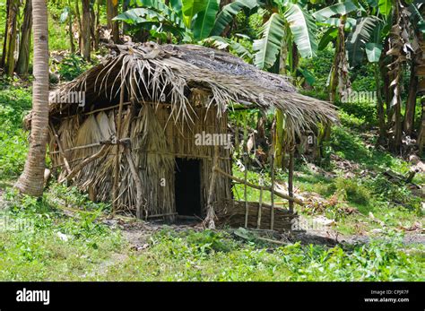 Nipa Hut Jungle Hut Poor Rural Housing Sabang Puerto Galera Oriental