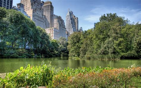 Elegant New York Central Park Wallpaper Iphone Positive Quotes