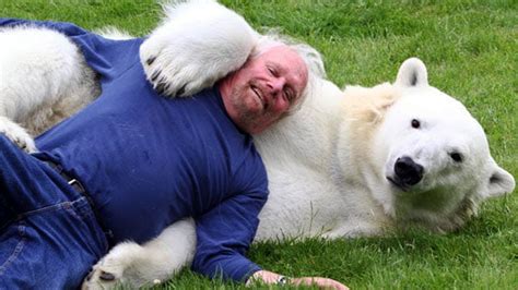 Man Swims And Sleeps With Polar Bear Amazing Story Youtube