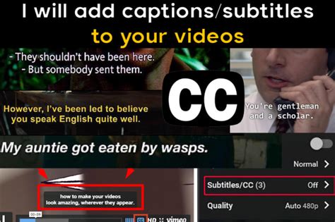 Add Closed Captions Subtitles Cc To Your Videos In 24hours By Vjanuj