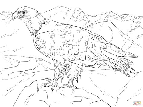 Gambar Bald Eagle Alaska Coloring Page Free Printable Pages Click