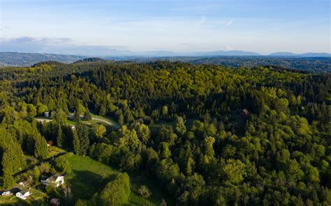 Download Wallpaper 3840x2400 Trees Forest Aerial View Landscape 4k