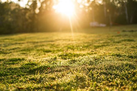 Wallpaper Sunlight Forest Sunset Nature Field Photography