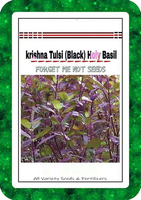 Sedro Vxi 393 Krishna Tulsi Seeds Black Holy Basil Seed Price In