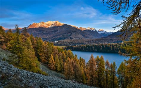 Download Wallpapers Lake Sils Mountain Lake Forest