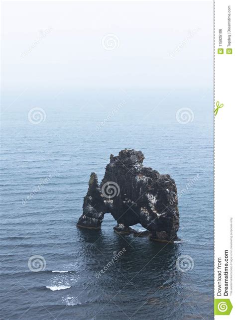 Hvitserkur Rock In The Sea Near Icelandic Coast Stock Photo Image Of