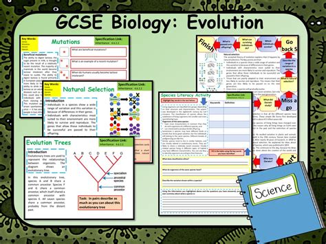 Ks4 Aqa Gcse Biology Science Evolution Lesson Teaching Resources