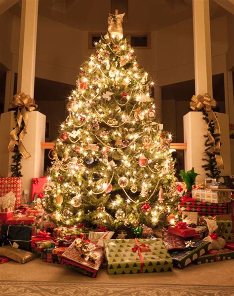 When Should I Put My Christmas Tree Up In Ireland Irish Mirror Online