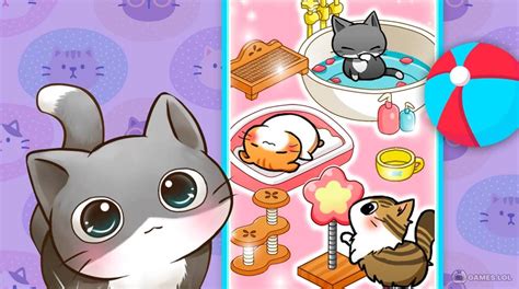 Play Cat Room Cute Cat Games The Best Game For Cat Lovers