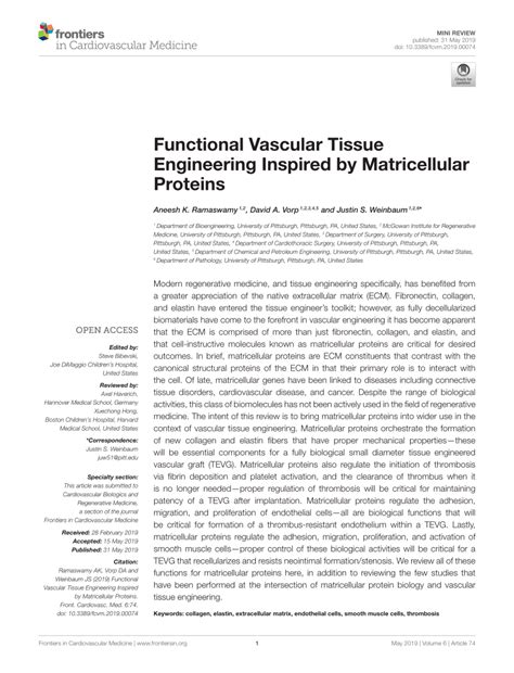 Pdf Functional Vascular Tissue Engineering Inspired By Matricellular