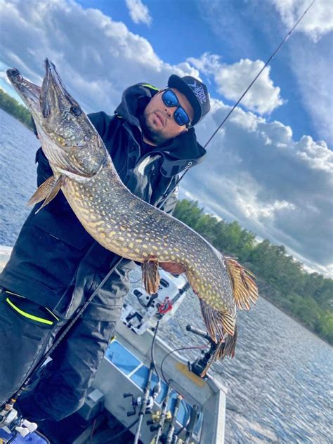 Catches Lake Foxen Fishing And Cottages Sweden