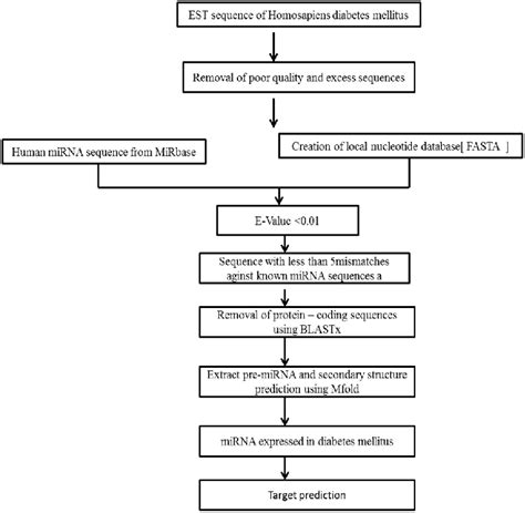 Flow Chart Showing Methodology Adopted To Identify Mirna From Diabetes