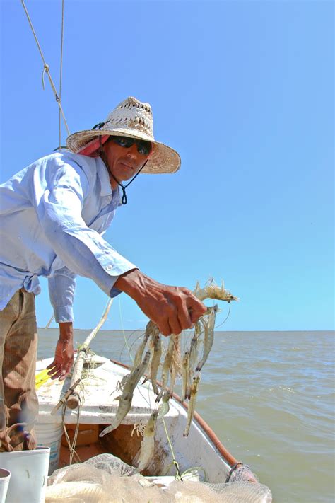 Crecimiento De La Pesca En MÉxico Se Basa En