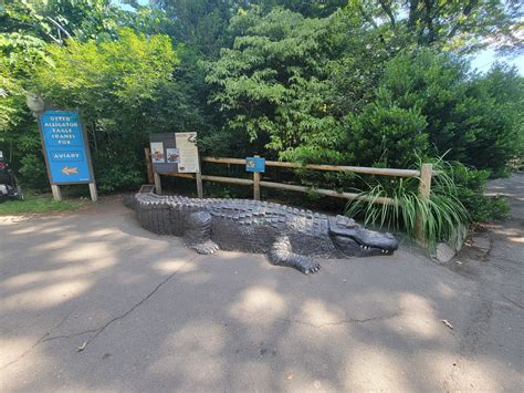 Beardsley 722 Alligator Statue At Entrance To Wetlands Area Zoochat