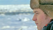 The Polar Bears of Churchill with Ewan McGregor | About | Nature | PBS