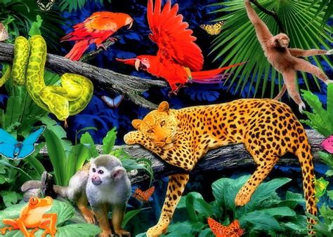 Living In The Forest Pythons Leopards Monkeys Digital Art Jungle