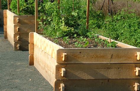 Maybe you would like to learn more about one of these? How to Build a Raised Garden Bed: Best Kits and DIY Plans | Eartheasy Guides & Articles ...