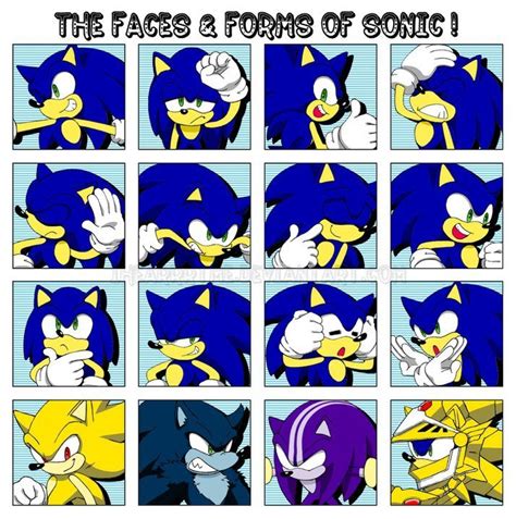 Faces And Forms Of Sonic Sonic The Hedgehog Photo 18536747 Fanpop