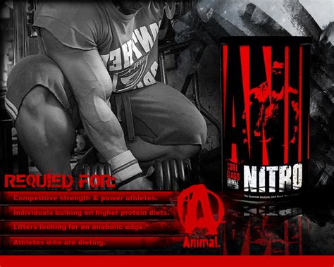 Universal Nutrition Animal Nitro 44 Packs