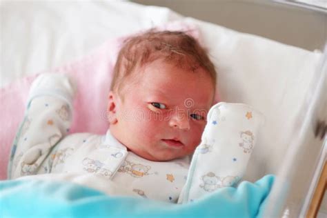 One Day Old Newborn Baby Stock Photo Image Of Young 65722194