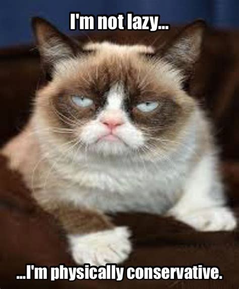 Im Not Lazy Grumpy Cat Funny Cat Memes Cat Memes