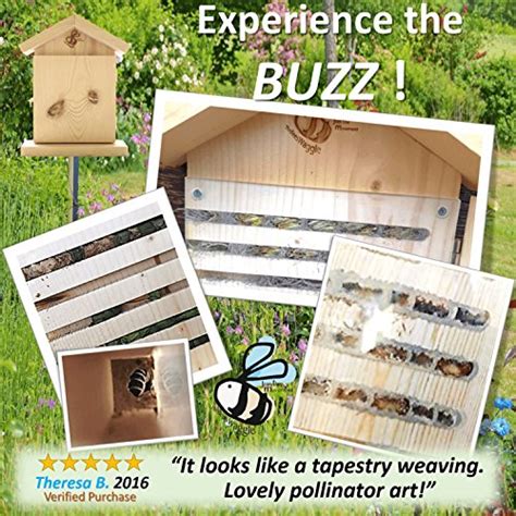 Mason Bee House For Solitary Bees Bonus Viewing Window Wildflower