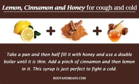 Mixture Of Lemon Cinnamon And Honey For Cough And Cold Home Remedy