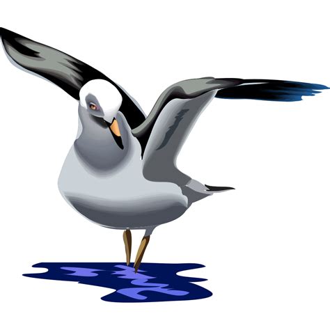 Landing Seagull Png Svg Clip Art For Web Download Clip Art Png Icon