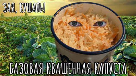 Квашенная капуста. Зая, кушать! - YouTube Картинка - Квашенная капуста. Зая, кушать! - YouTube