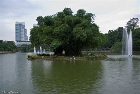 It provides a big recreational area for city folks who need to take a break from the normal routine and busyness of the city. Things to do in Kuala Lumpur: Lake Gardens