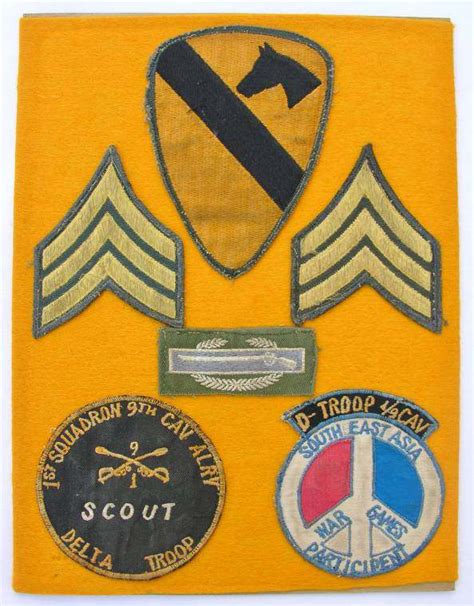 1st Squadron 9th Cavalry D Troop Vietnam 1970 1971 Grouping