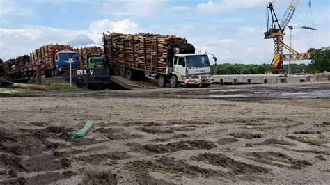 proses menegangkan penurunan truck logging  load  tongkang