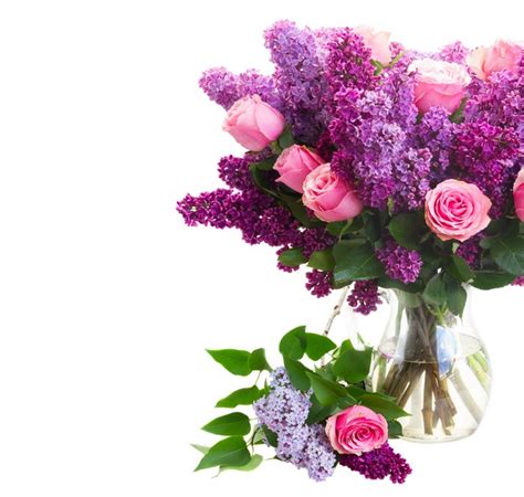 807338 4k Bouquets Lilac Roses White Background Vase Rare