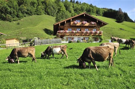 Urlaub Auf Dem Bauernhof Mir Allgäuer Reise Idee Verlag