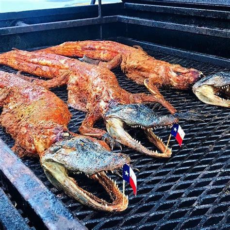 How To Cook Whole Alligator Foodrecipestory