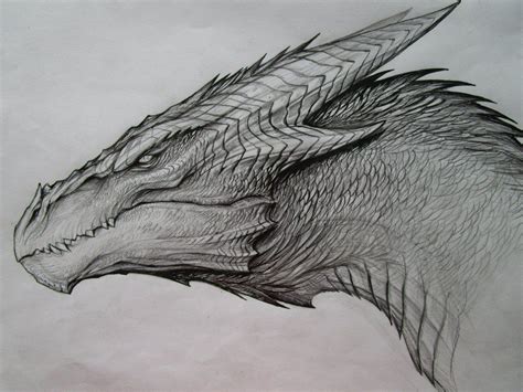 Dragon Sketch Dragões O esboço do dragão Desenho de dragão