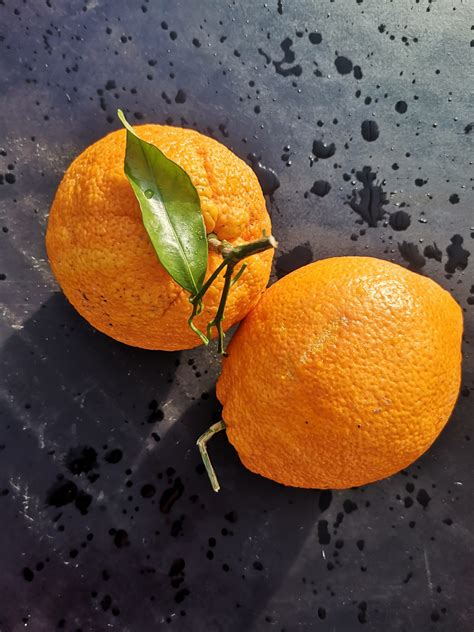 Orange 1 Kg Origine Espagne Les Paniers De Gillou