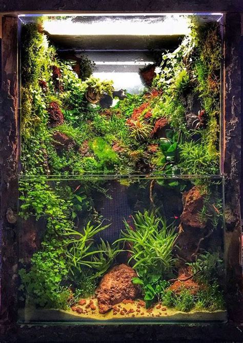 Amazing Paludarium Ideas That Must Be Crazy In Your Home In