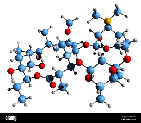 Bacteria Clostridium Cut Out Stock Images And Pictures Alamy