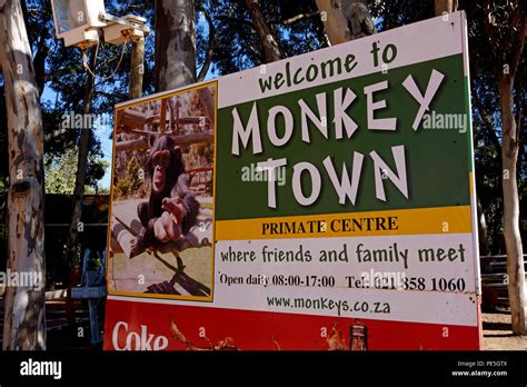 Monkey Town Primate Centre Somerset West Western Cape Province
